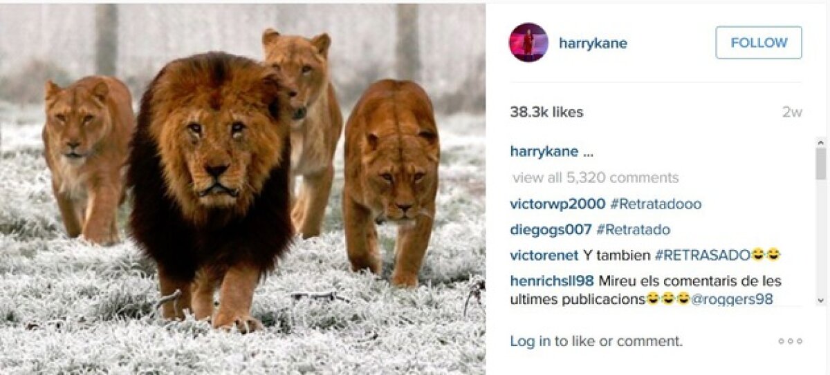 FOTO Ironii de campion! Cum i-a răspuns Vardy principalului rival după câștigarea titlului în Premier League