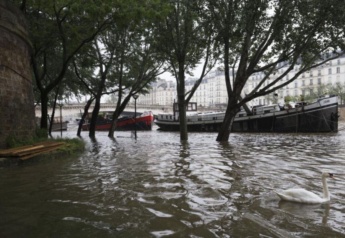 Speriați de șocanta Franța » Nemții sunt alarmați: "Acest Euro, într-o țară paralizată de greve și de proteste, va fi o provocare pentru toți fanii"