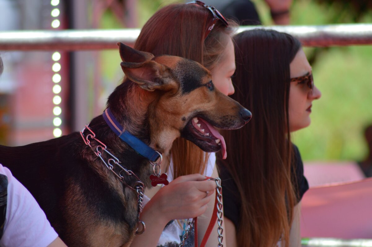 FOTO Un oraș la aer liber » Parcul Tineretului luat cu asalt în timpul finalelor Cupei Coca-Cola