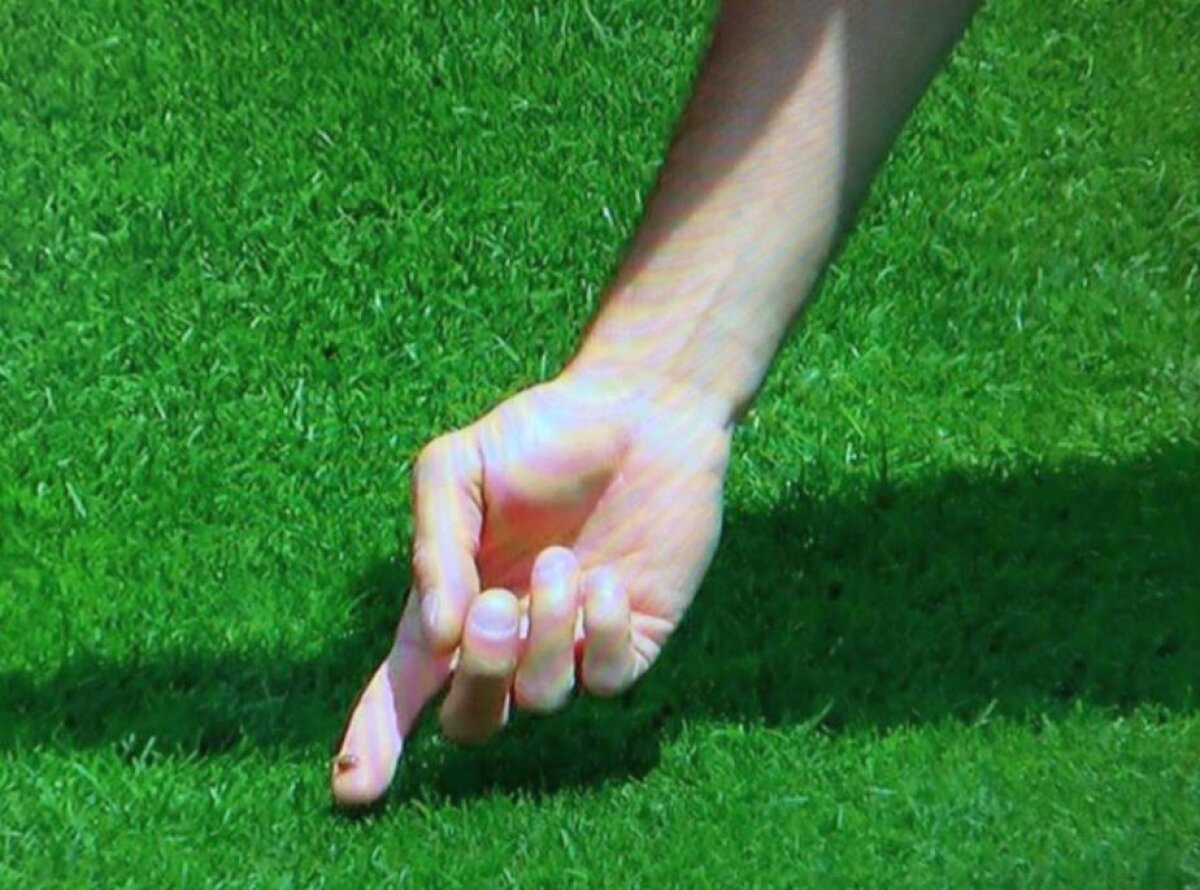 FOTO Motivul fabulos pentru care Andrea Barzagli a întrerupt antrenamentul Italiei de azi