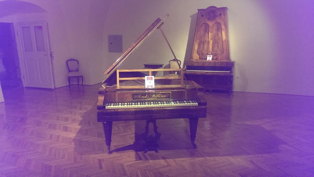 CORESPONDENŢĂ DIN SLOVENIA »  VIDEO + FOTO Un loc deosebit lângă cantonamentul Stelei » Castel, armuri, viori şi măşti populare