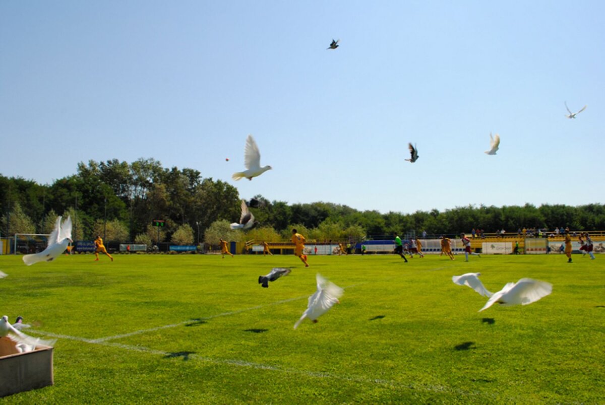 Bucurie moderată la CS Afumați după scorul fluviu cu Pâncota: "Am bătut niște nevinovați!"