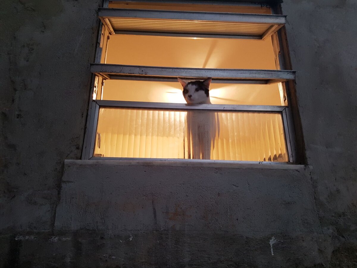 Corespondență din Brazilia » Regina favelei » Incursiune în lumea nevăzută din Rio: Mirela Neag a stat de vorbă cu Marcia, liderul femeilor din Cerro Cora