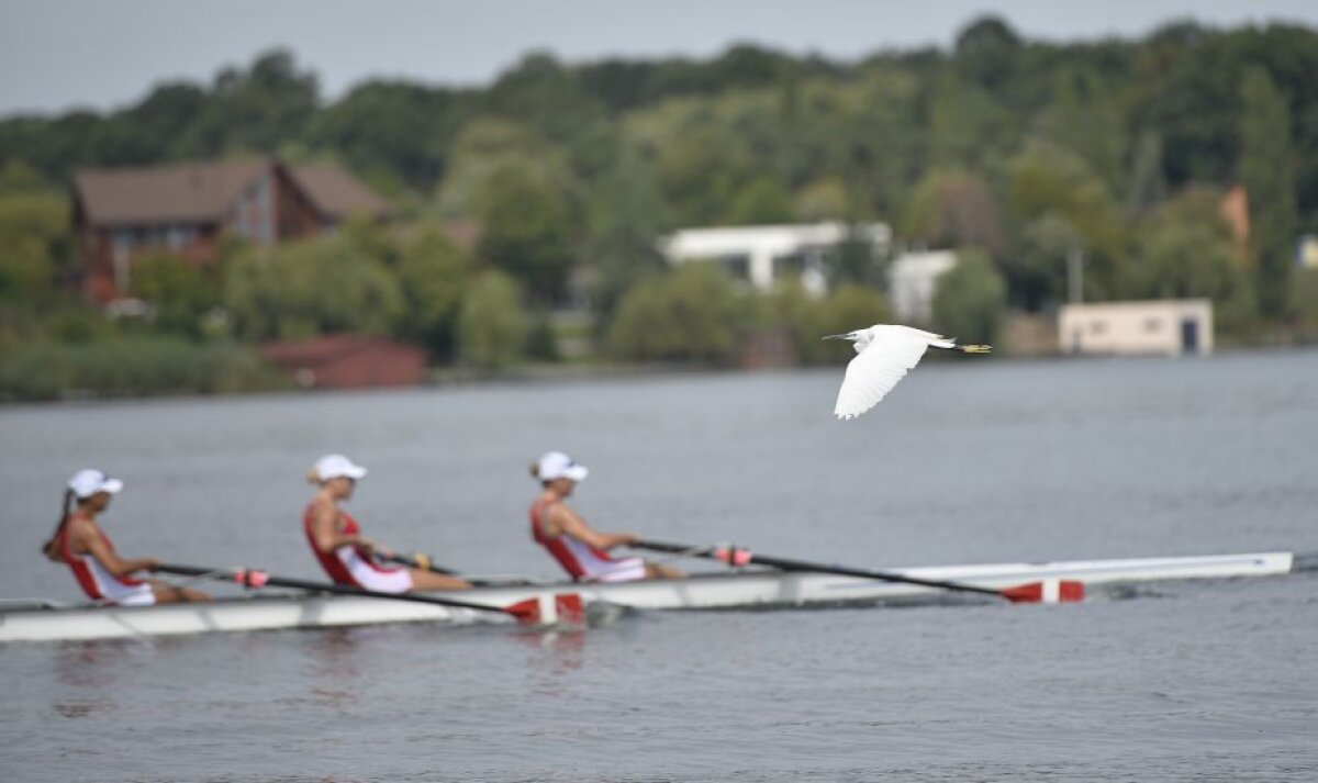 FOTO S-au împărțit în două! Componentele bărcii de 8 plus 1, medaliate cu bronz la Rio, au fost ieri adversare la Naționalele de pe Lacul Snagov