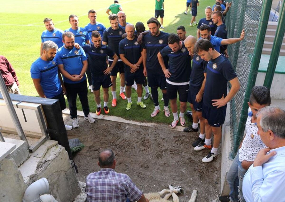 VIDEO+FOTO Cei de la Osmanlispor au sacrificat o oaie pe gazon înaintea meciului cu Steaua » Gol marcat de Rusescu