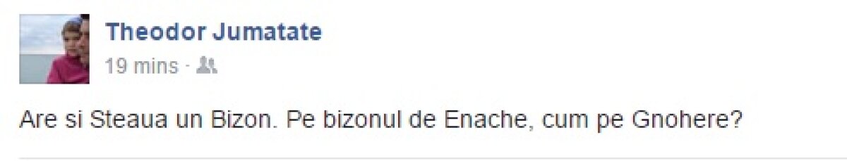 FOTO + VIDEO Ironie pe facebook, după eliminarea stupidă a lui Enache: "Are și Steaua un Bizon"