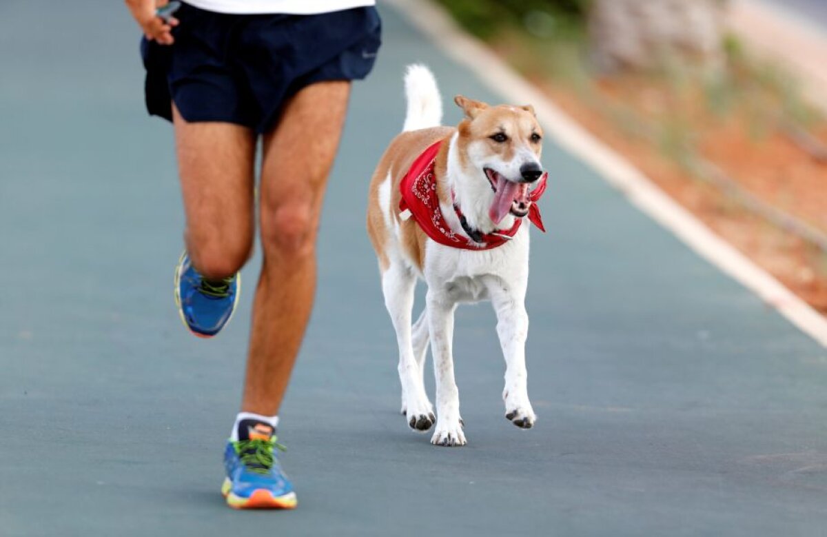 Fotografia zilei - cele mai interesante imagini ale lunii septembrie în sport