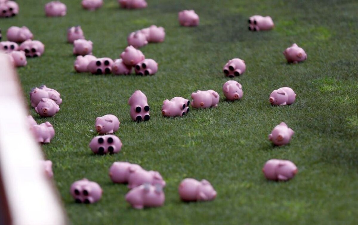 VIDEO + FOTO Ploaie de porcușori în Anglia! Protest inedit la începutul partidei