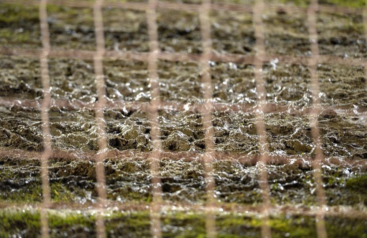 FOTO EXCLUSIV Ca la Techirghiol! Surpriză neplăcută pentru stelişti în Moldova