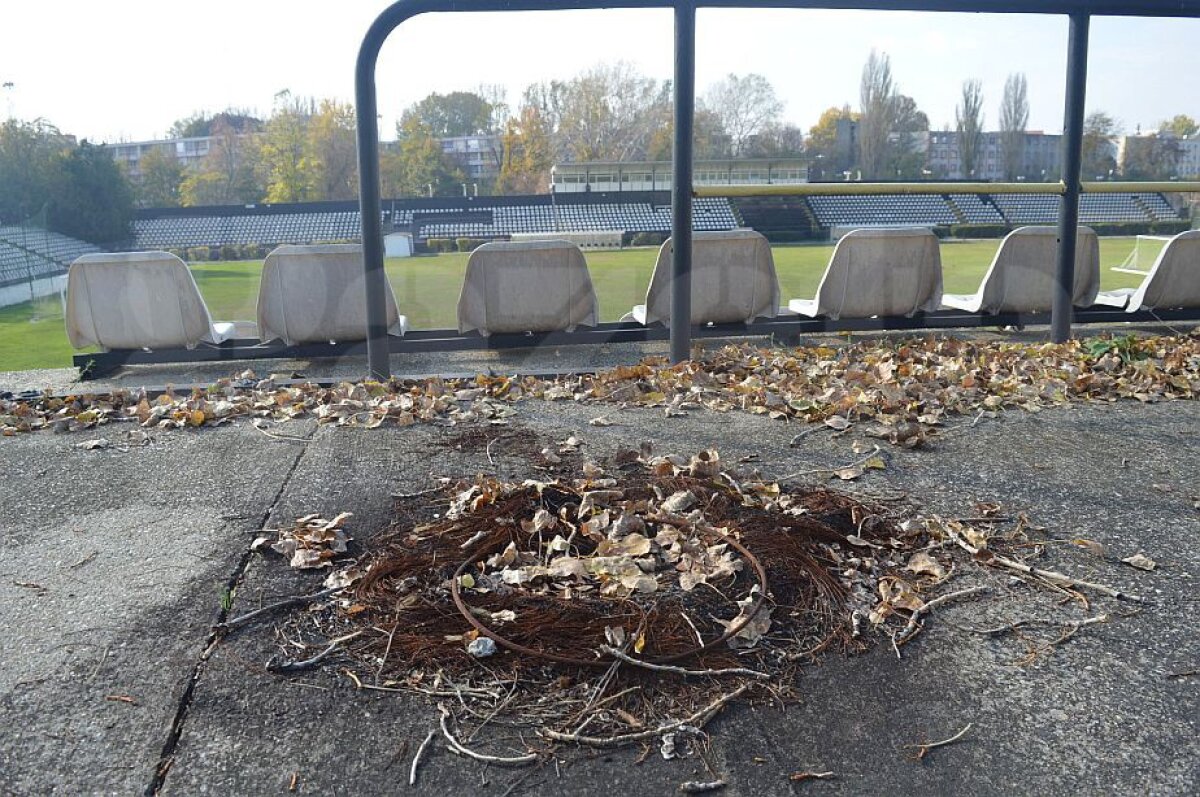 GALERIE FOTO 100 de ani de la înființarea Sportului Studențesc și 96 de la inaugurarea arenei din Regie! Imagini triste de pe stadionul pe care au scris istorie Hagi, Lucescu și Mircea Sandu