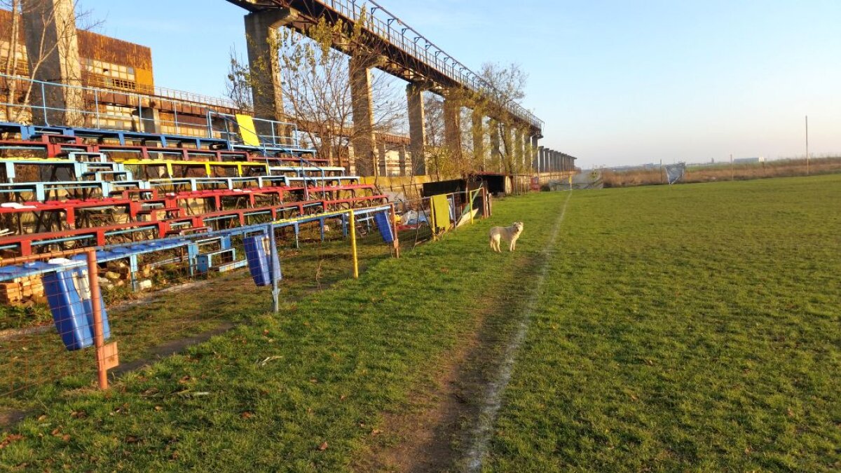 EXCLUSIV VIDEO+FOTO Cazul ciudat al unui club de tradiție din București: "Din cauza unui serial TV, noi nu mai existăm"