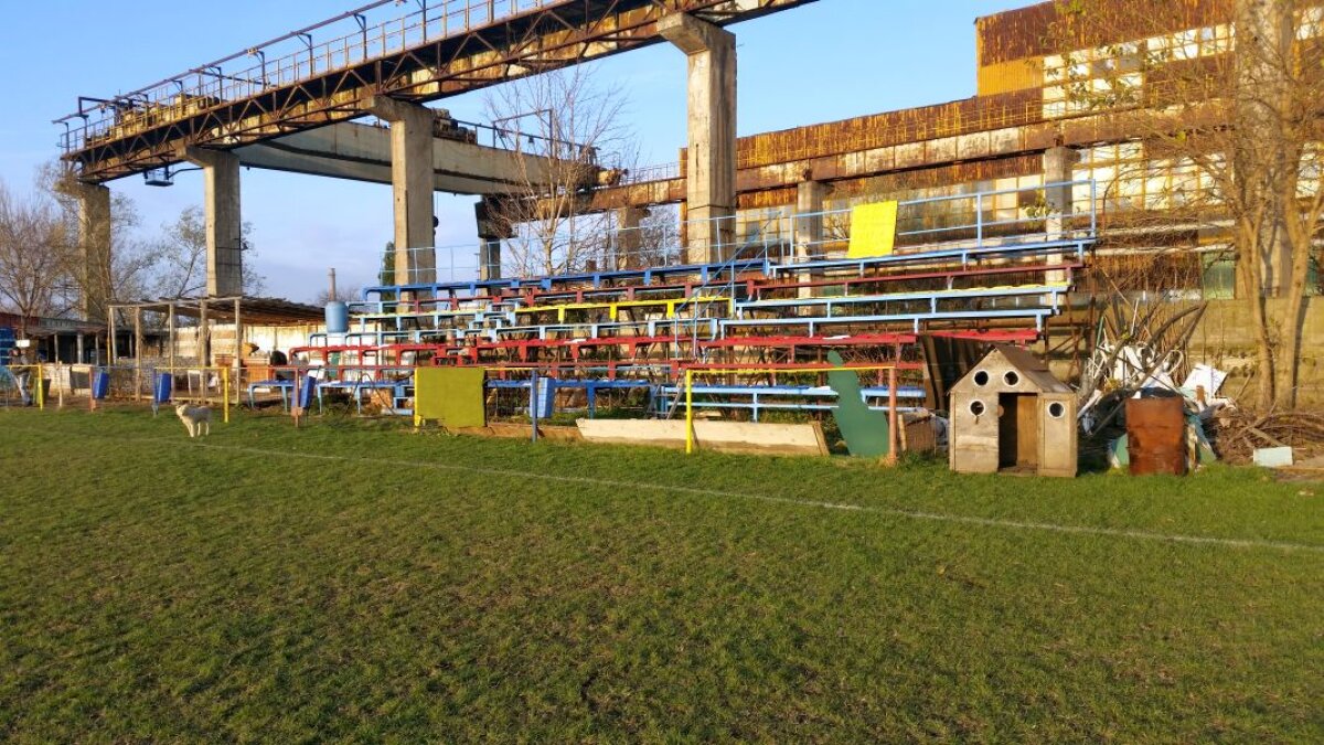 EXCLUSIV VIDEO+FOTO Cazul ciudat al unui club de tradiție din București: "Din cauza unui serial TV, noi nu mai existăm"