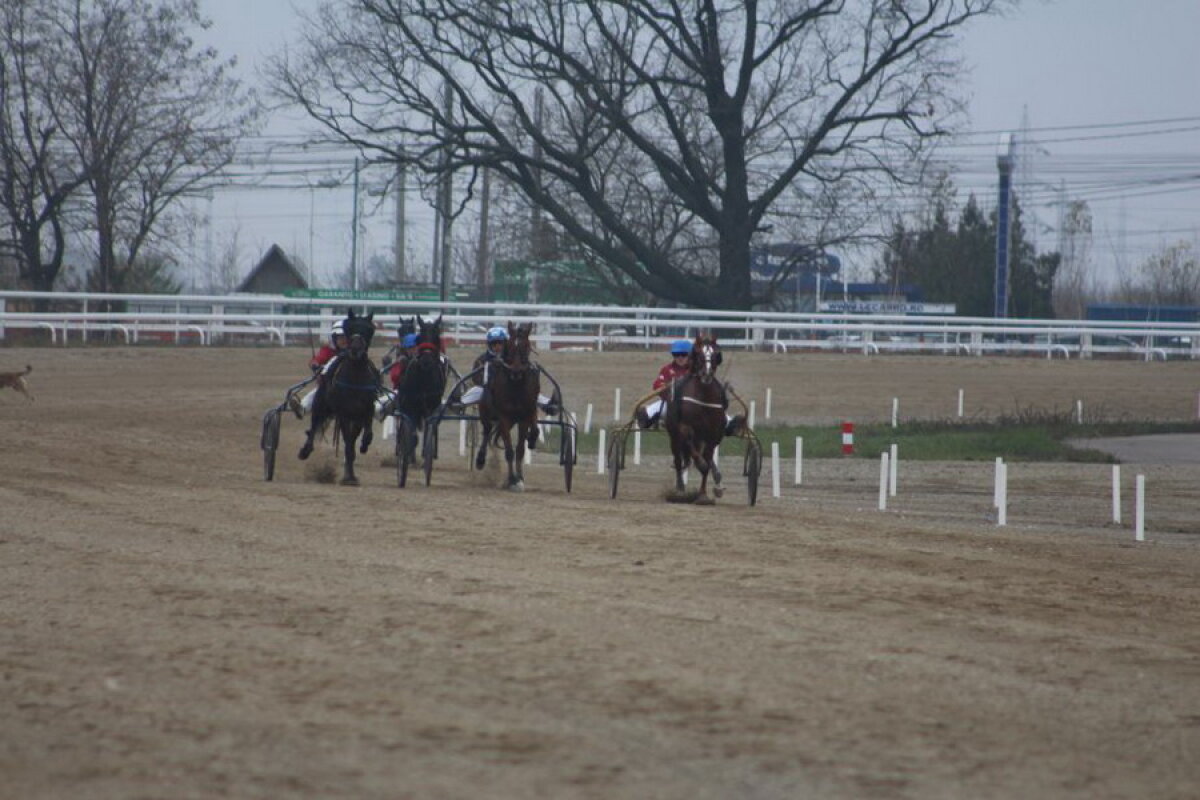 VIDEO+FOTO Imagini de la inaugurarea demonstrativă a hipodromului Ploiești 