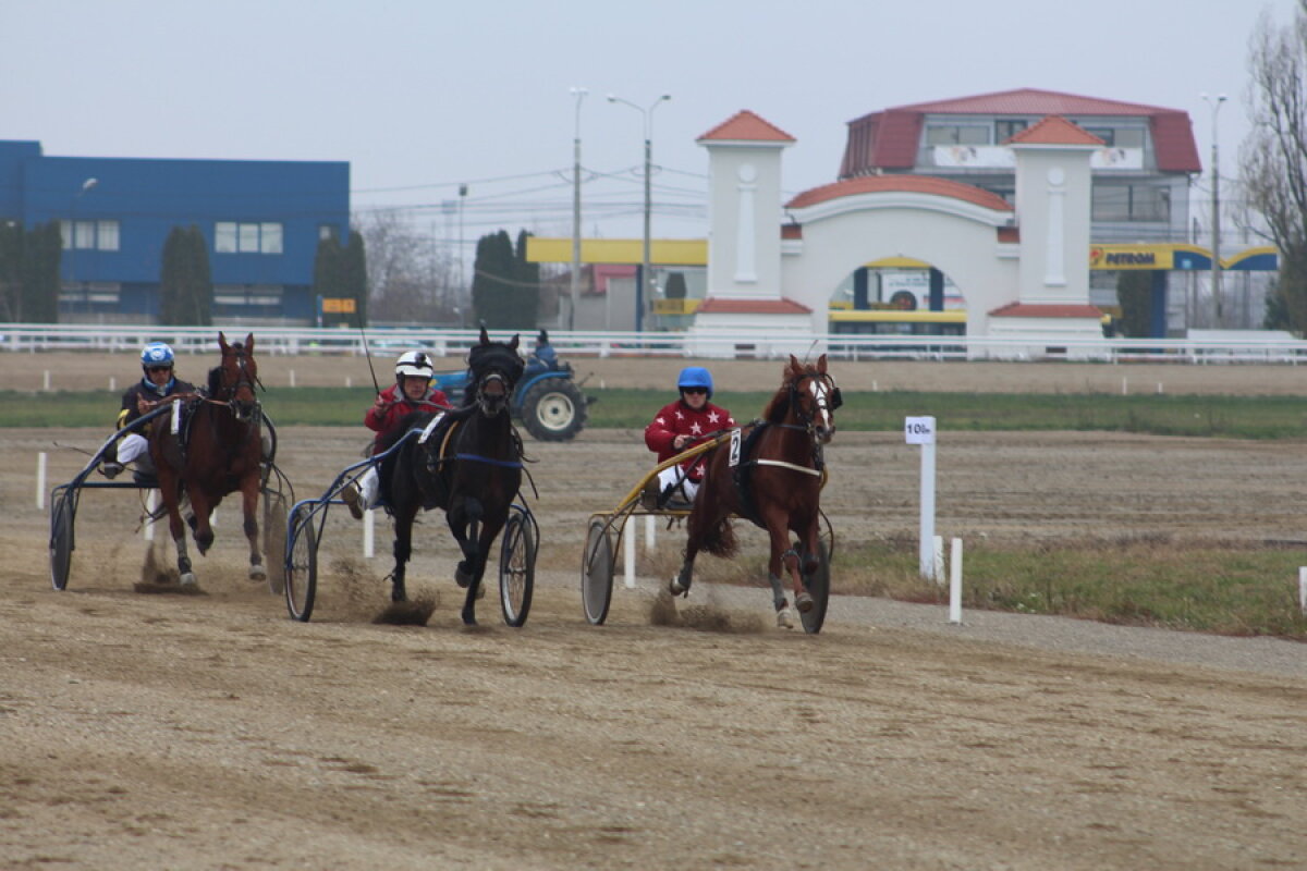 VIDEO+FOTO Imagini de la inaugurarea demonstrativă a hipodromului Ploiești 