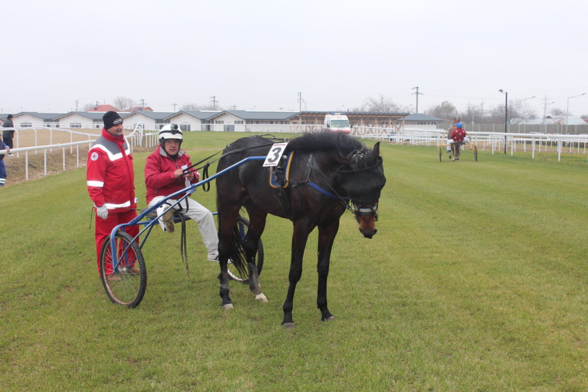 VIDEO+FOTO Imagini de la inaugurarea demonstrativă a hipodromului Ploiești 