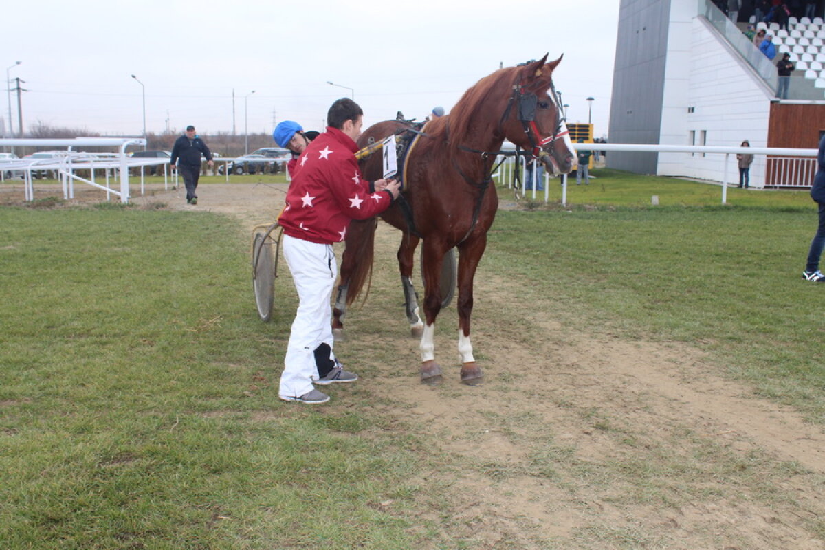 VIDEO+FOTO Imagini de la inaugurarea demonstrativă a hipodromului Ploiești 