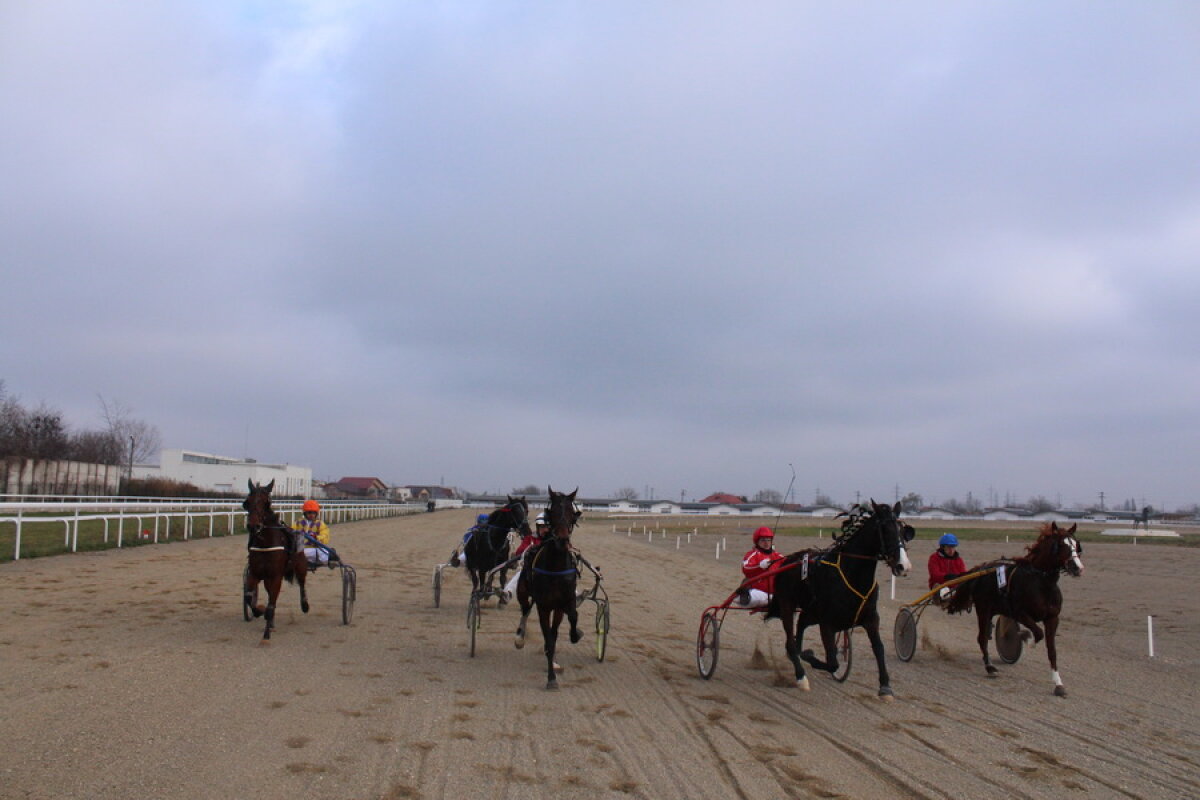 VIDEO+FOTO Imagini de la inaugurarea demonstrativă a hipodromului Ploiești 