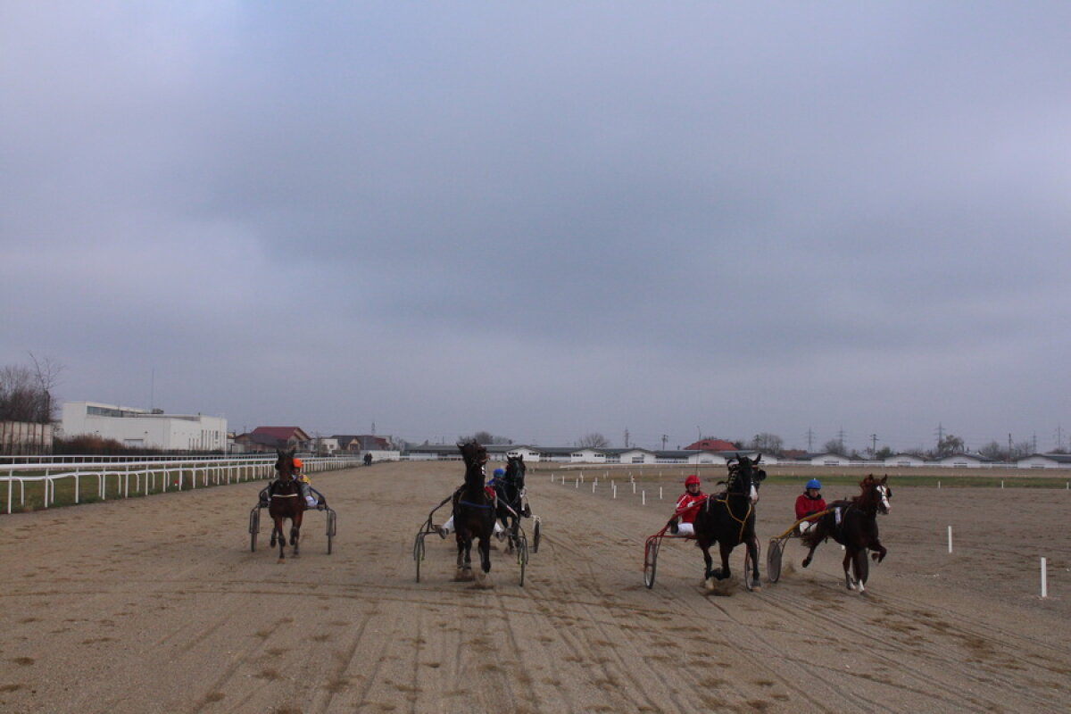 VIDEO+FOTO Imagini de la inaugurarea demonstrativă a hipodromului Ploiești 