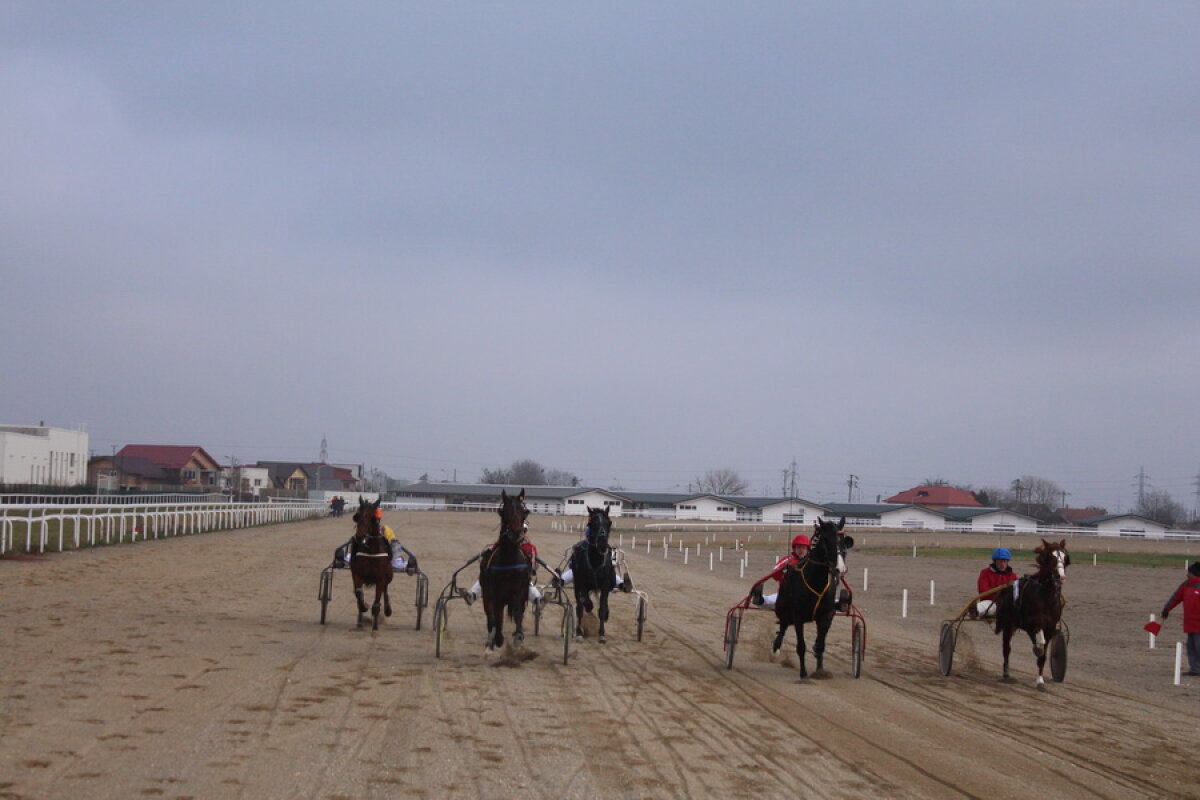 VIDEO+FOTO Imagini de la inaugurarea demonstrativă a hipodromului Ploiești 