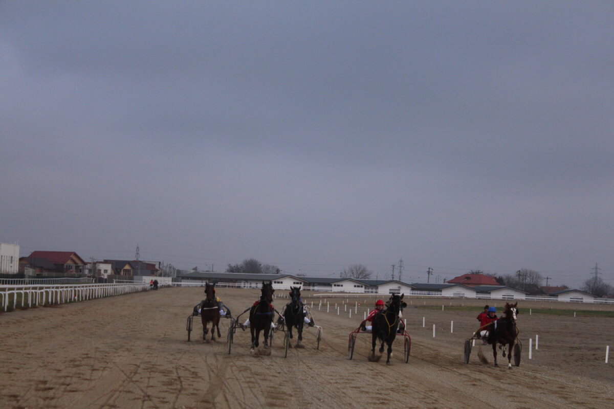 VIDEO+FOTO Imagini de la inaugurarea demonstrativă a hipodromului Ploiești 