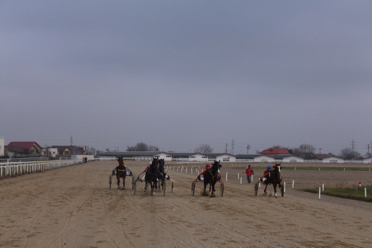 VIDEO+FOTO Imagini de la inaugurarea demonstrativă a hipodromului Ploiești 