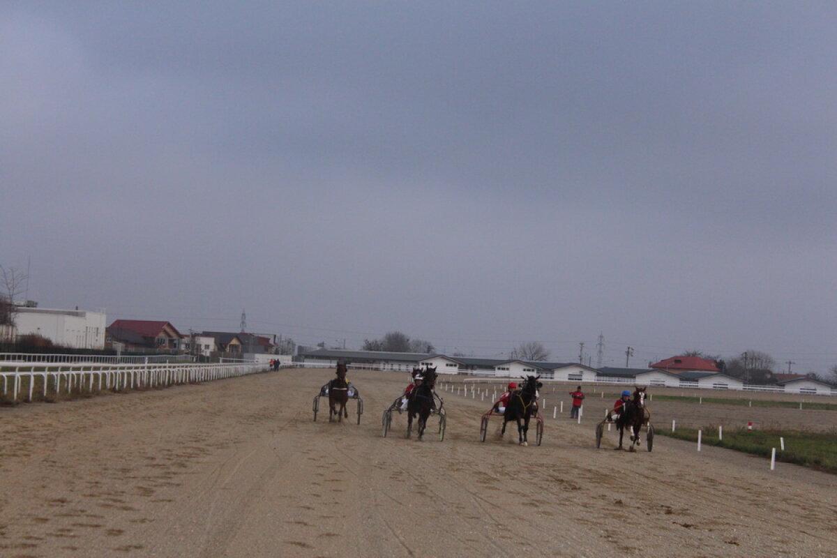 VIDEO+FOTO Imagini de la inaugurarea demonstrativă a hipodromului Ploiești 