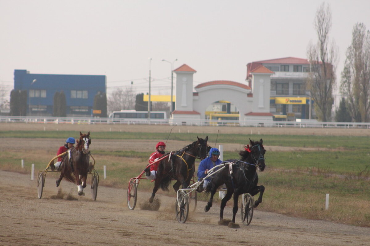 VIDEO+FOTO Imagini de la inaugurarea demonstrativă a hipodromului Ploiești 