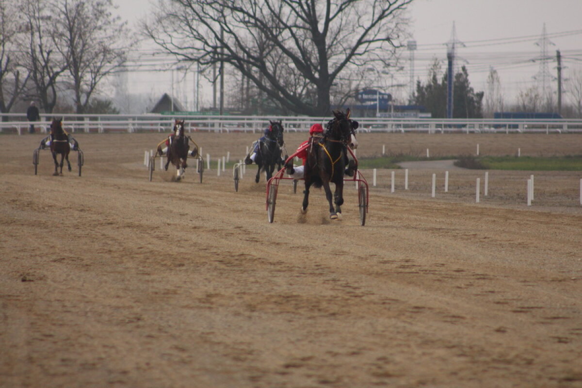 VIDEO+FOTO Imagini de la inaugurarea demonstrativă a hipodromului Ploiești 
