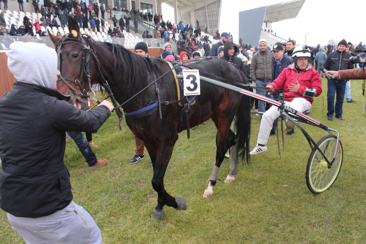 VIDEO+FOTO Imagini de la inaugurarea demonstrativă a hipodromului Ploiești 
