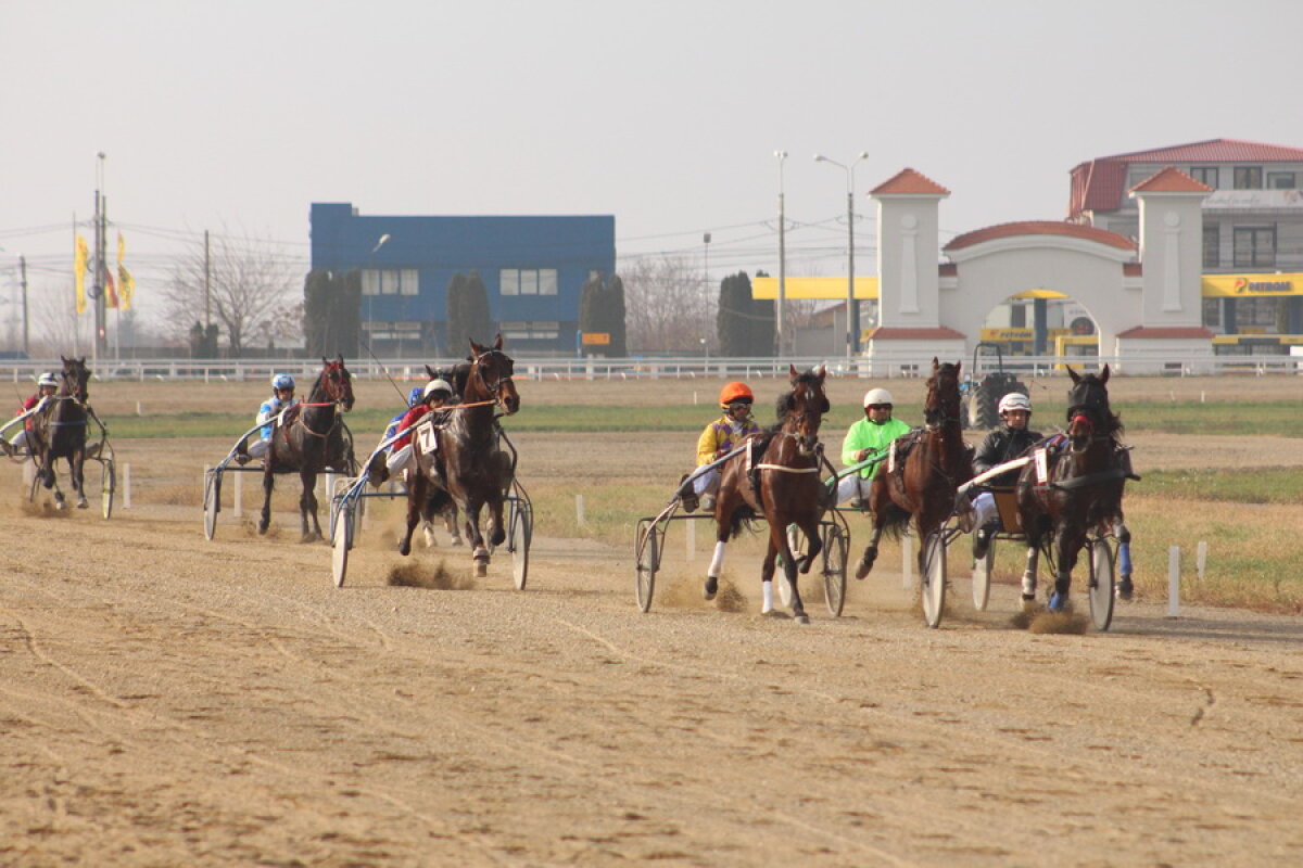 VIDEO+FOTO Imagini de la inaugurarea demonstrativă a hipodromului Ploiești 
