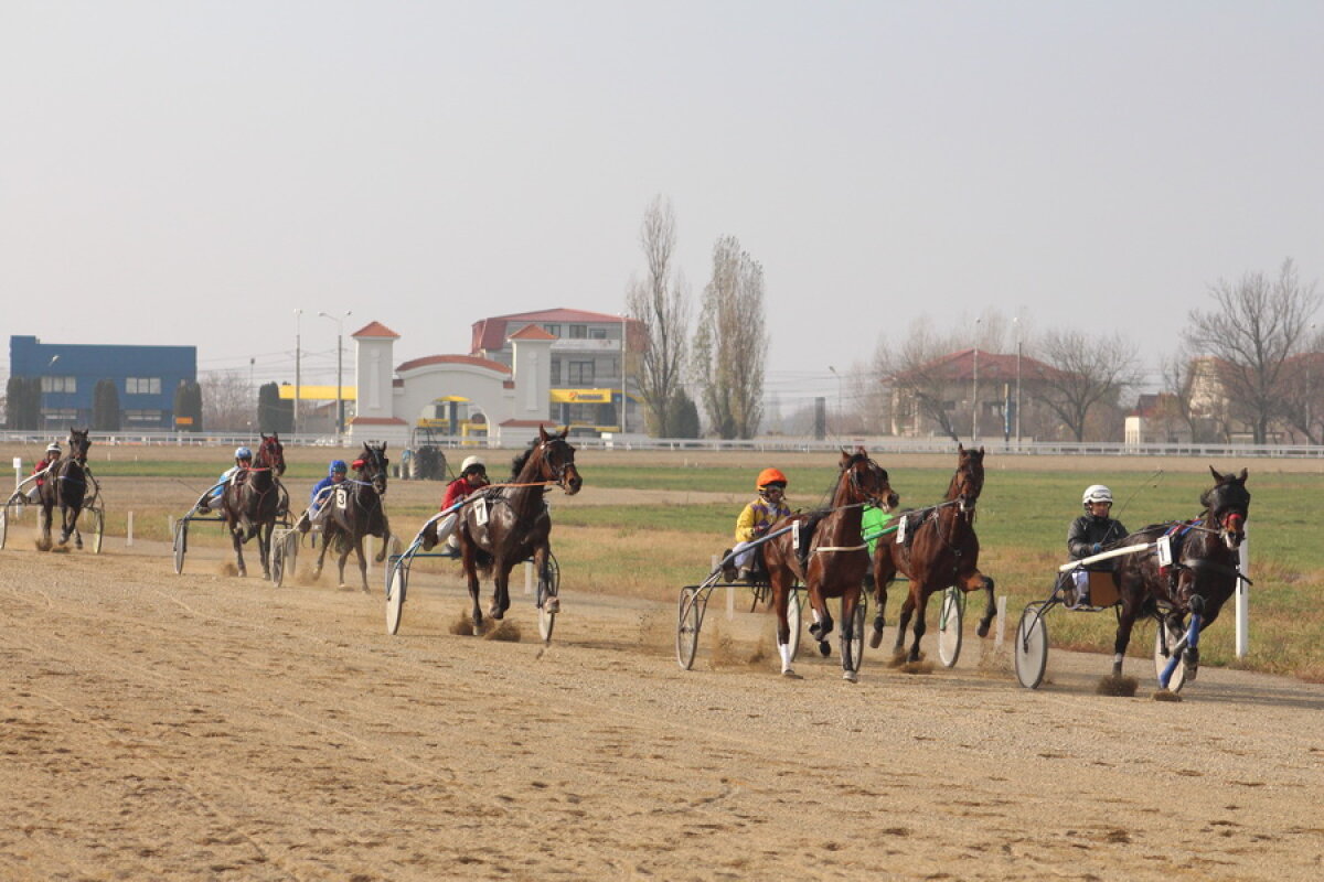 VIDEO+FOTO Imagini de la inaugurarea demonstrativă a hipodromului Ploiești 