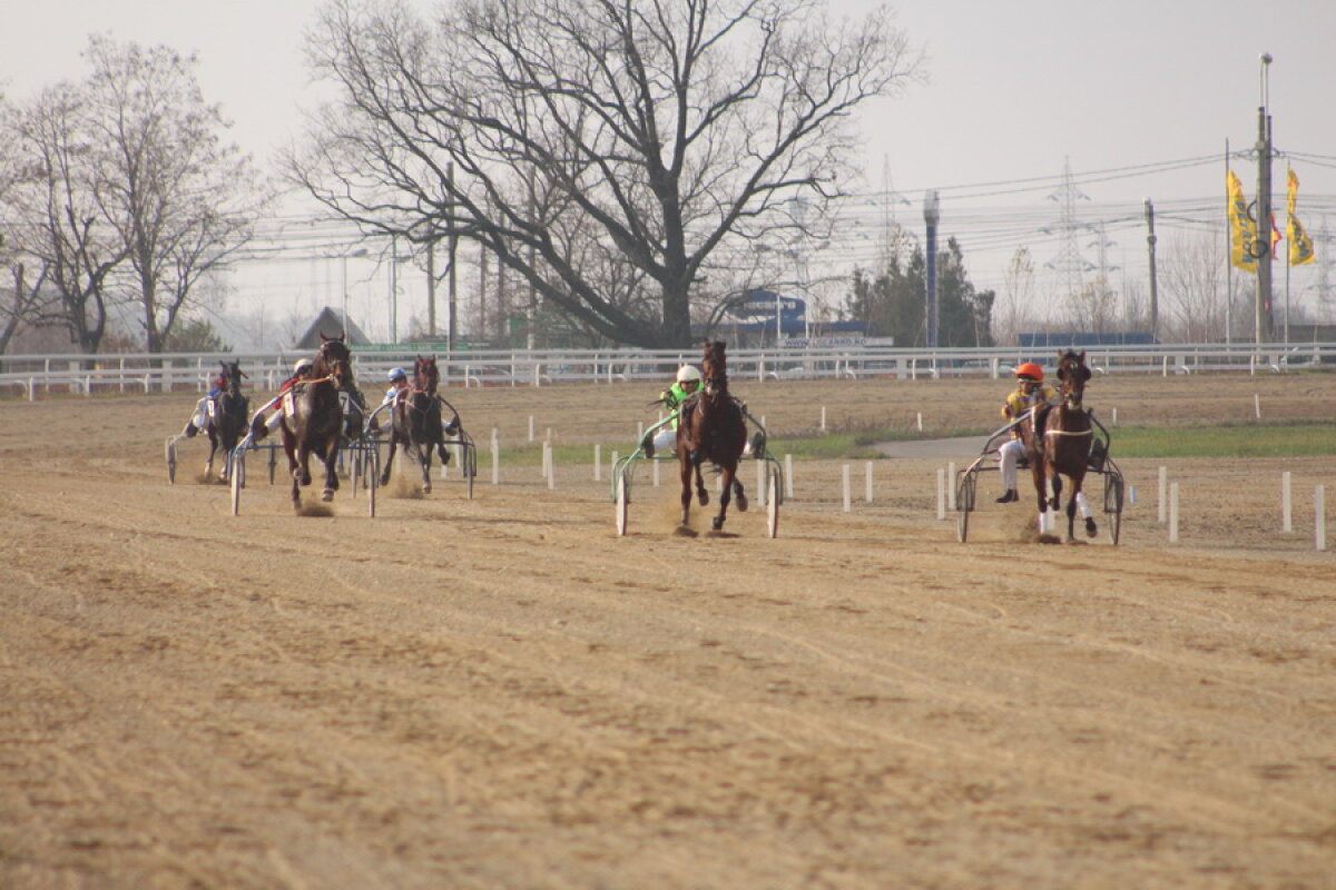 VIDEO+FOTO Imagini de la inaugurarea demonstrativă a hipodromului Ploiești 