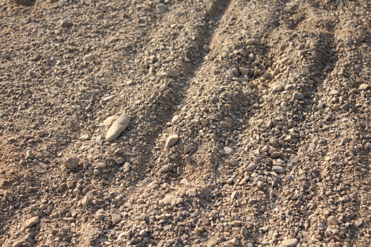 VIDEO+FOTO Imagini de la inaugurarea demonstrativă a hipodromului Ploiești 