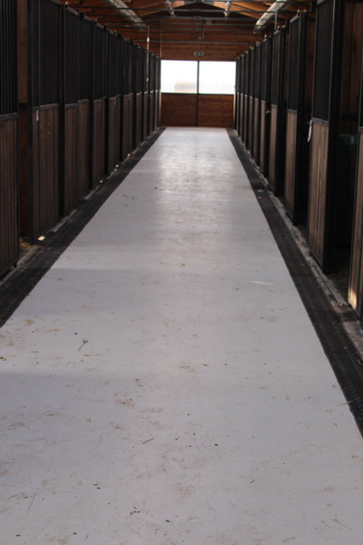 VIDEO+FOTO Imagini de la inaugurarea demonstrativă a hipodromului Ploiești 