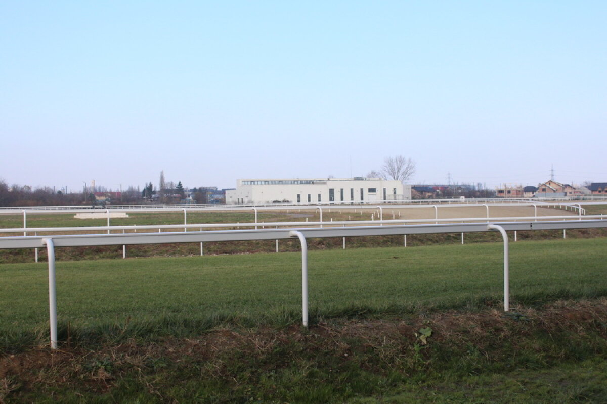 VIDEO+FOTO Imagini de la inaugurarea demonstrativă a hipodromului Ploiești 