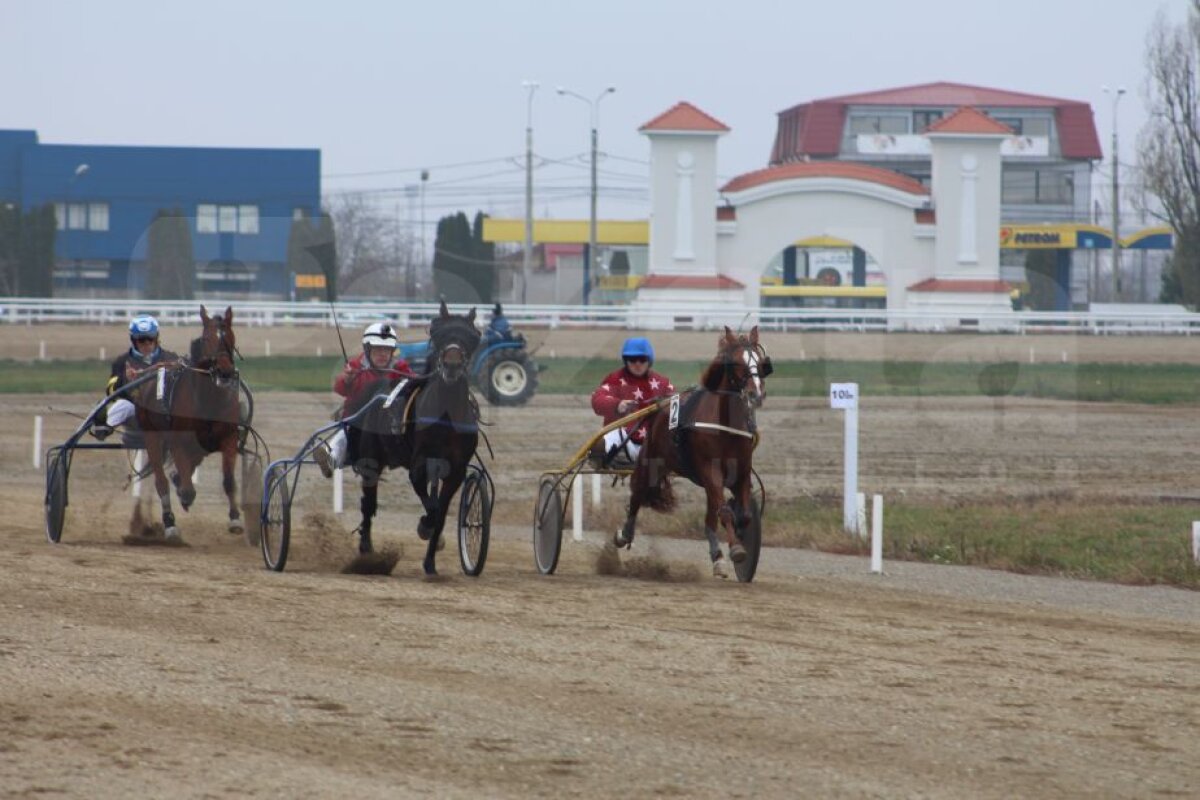 FOTO HipoHaos » Noul hipodrom de la Ploieşti, ridicat cu 15 milioane de euro fonduri locale şi europene, a fost inaugurat ieri cu trei curse demonstrative, dar cu mari probleme tehnice