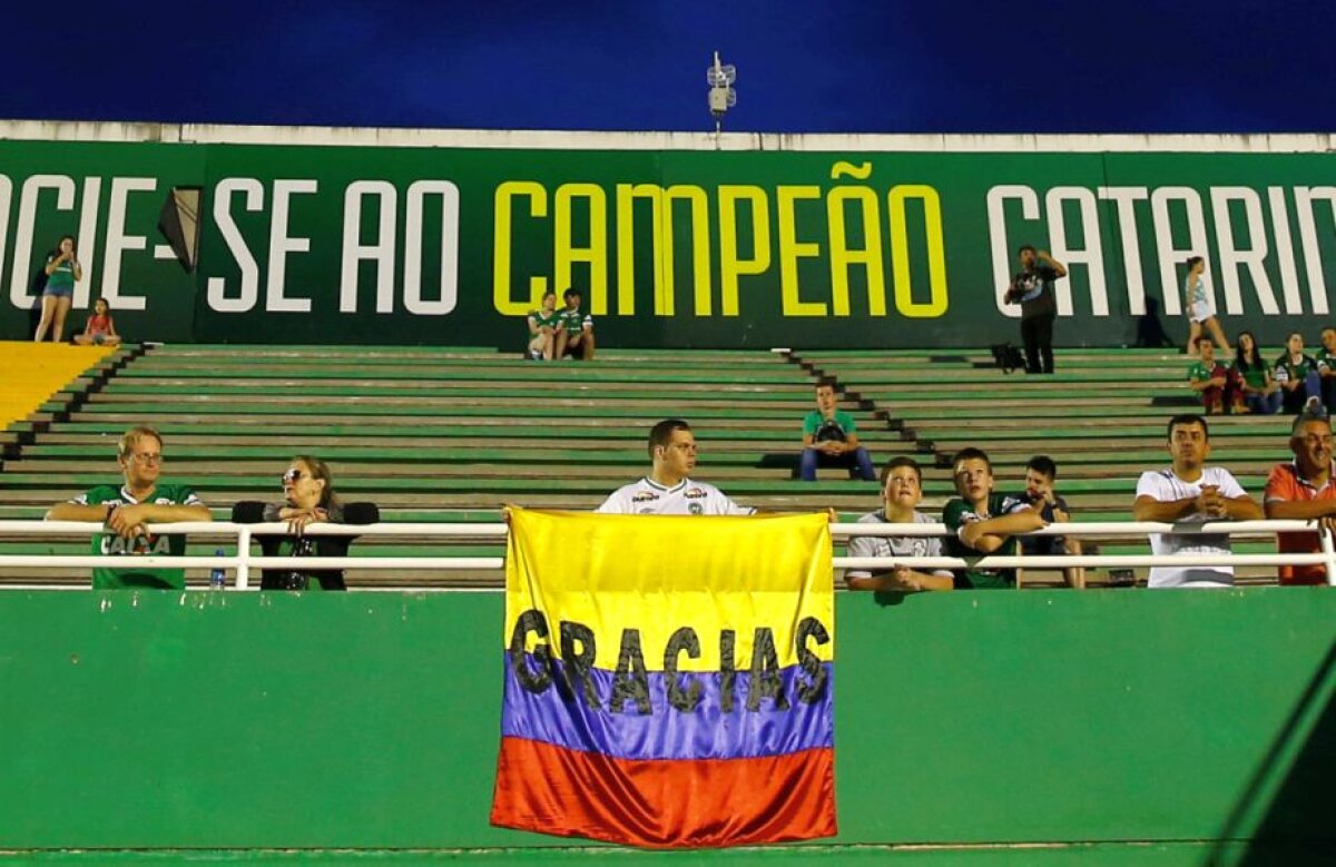 Fotografia zilei - cele mai interesante imagini ale lunii decembrie în sport