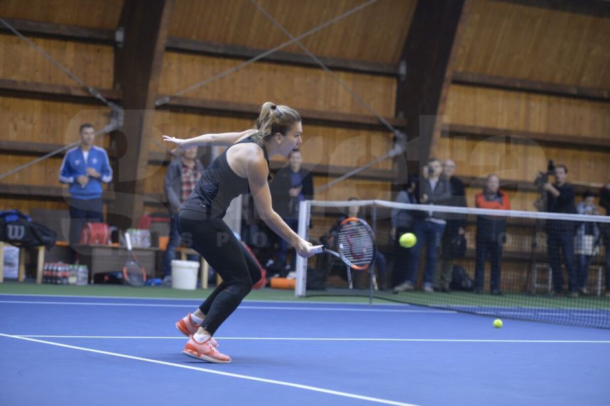 GALERIE FOTO Imagini din antrenamentul Simonei Halep de la Izvorani! Românca trage tare pentru a cuceri primul ei trofeu de Grand Slam