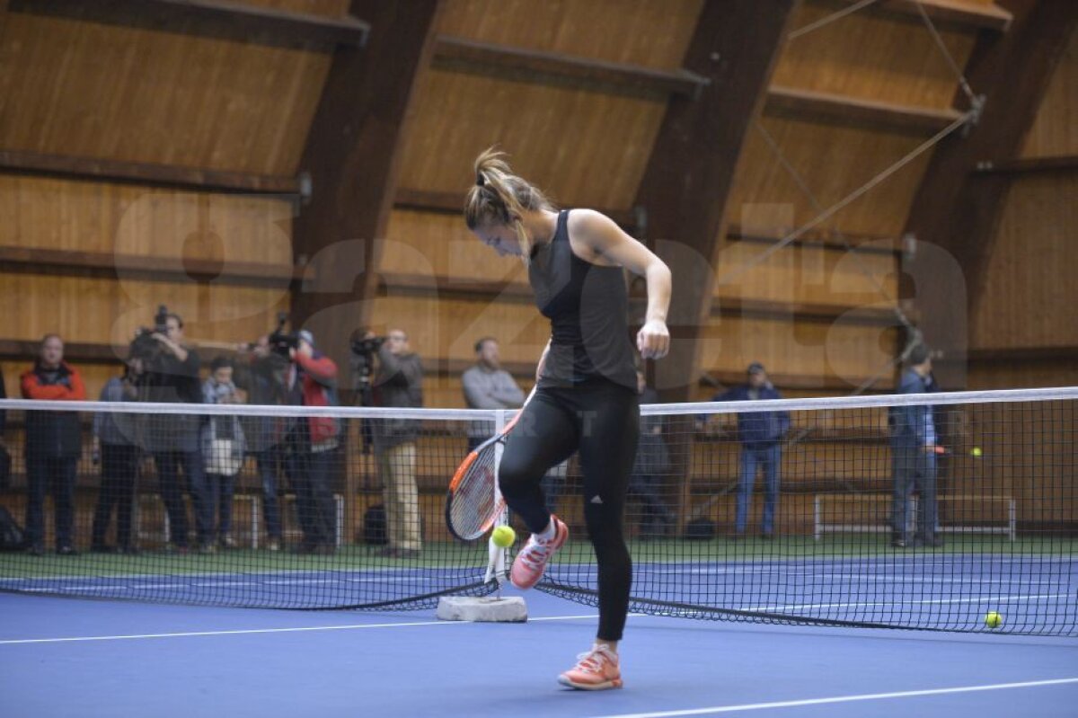 GALERIE FOTO Imagini din antrenamentul Simonei Halep de la Izvorani! Românca trage tare pentru a cuceri primul ei trofeu de Grand Slam