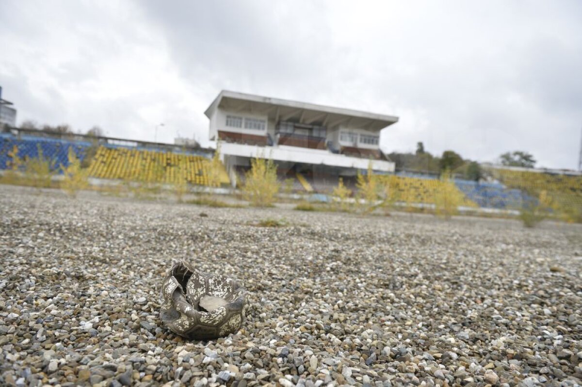 FOTO Imagini deprimante: stadionul din România pe care a jucat și Arsenal, îngropat la propriu! 