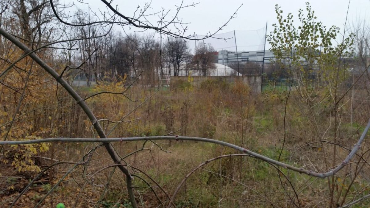 EXCLUSIV VIDEO+FOTO Ion Țiriac e gata să dea o mare lovitură » Vrea să ia trei terenuri din apropierea FRF și să le transforme în ceva unic pentru România