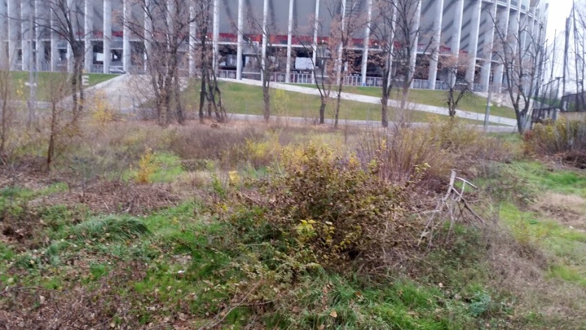 EXCLUSIV VIDEO+FOTO Ion Țiriac e gata să dea o mare lovitură » Vrea să ia trei terenuri din apropierea FRF și să le transforme în ceva unic pentru România