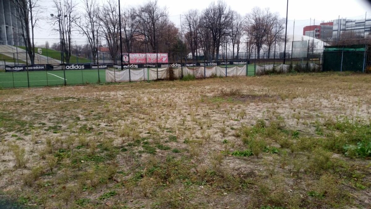 EXCLUSIV VIDEO+FOTO Ion Țiriac e gata să dea o mare lovitură » Vrea să ia trei terenuri din apropierea FRF și să le transforme în ceva unic pentru România