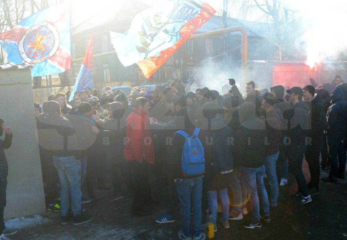 VIDEO+FOTO Lăcătuș s-a întâlnit cu 150 de suporteri steliști în fața CSA: "Lăcă, ești singura noastră speranță" » Ce-au discutat cele două părți