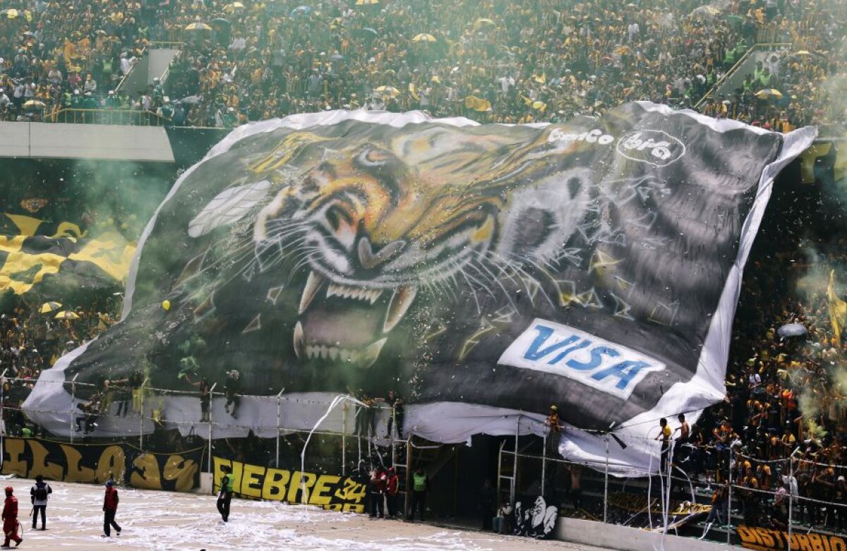 Fotografia zilei - cele mai interesante imagini ale lunii decembrie în sport