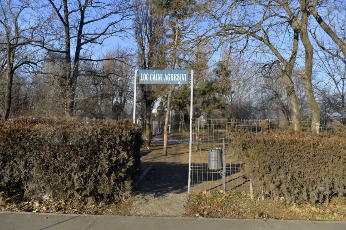 GALERIE FOTO EXCLUSIV Aici îşi duce Gigi vedetele de la Steaua