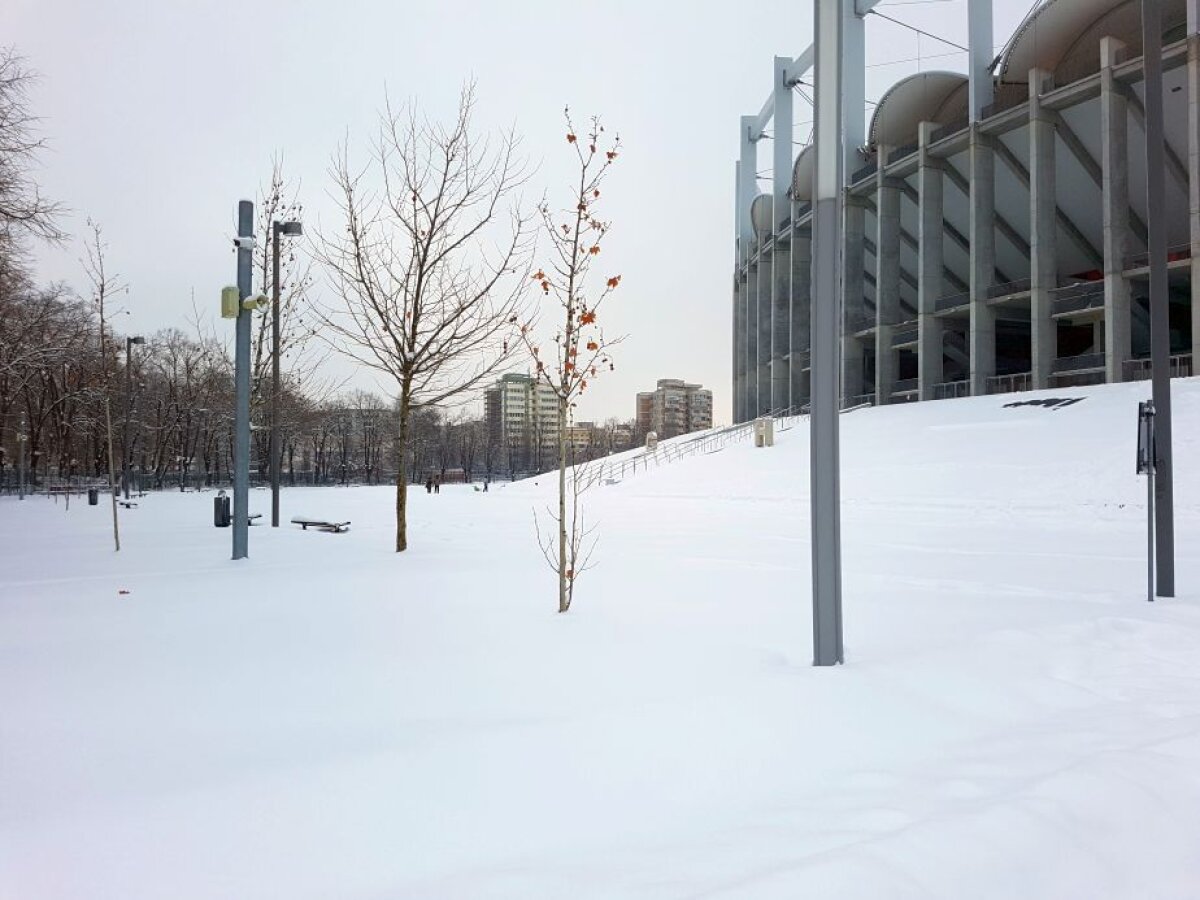 EXCLUSIV VIDEO+FOTO "Sunt copii. Cu multe sănii, De pe coastă vin ţipând" :D » Arena Națională, ca-n "Iarna pe uliță": cel mai scump stadion al țării a devenit pârtie de săniuș! Imagini antologice surprinse azi pe arenele din Capitală