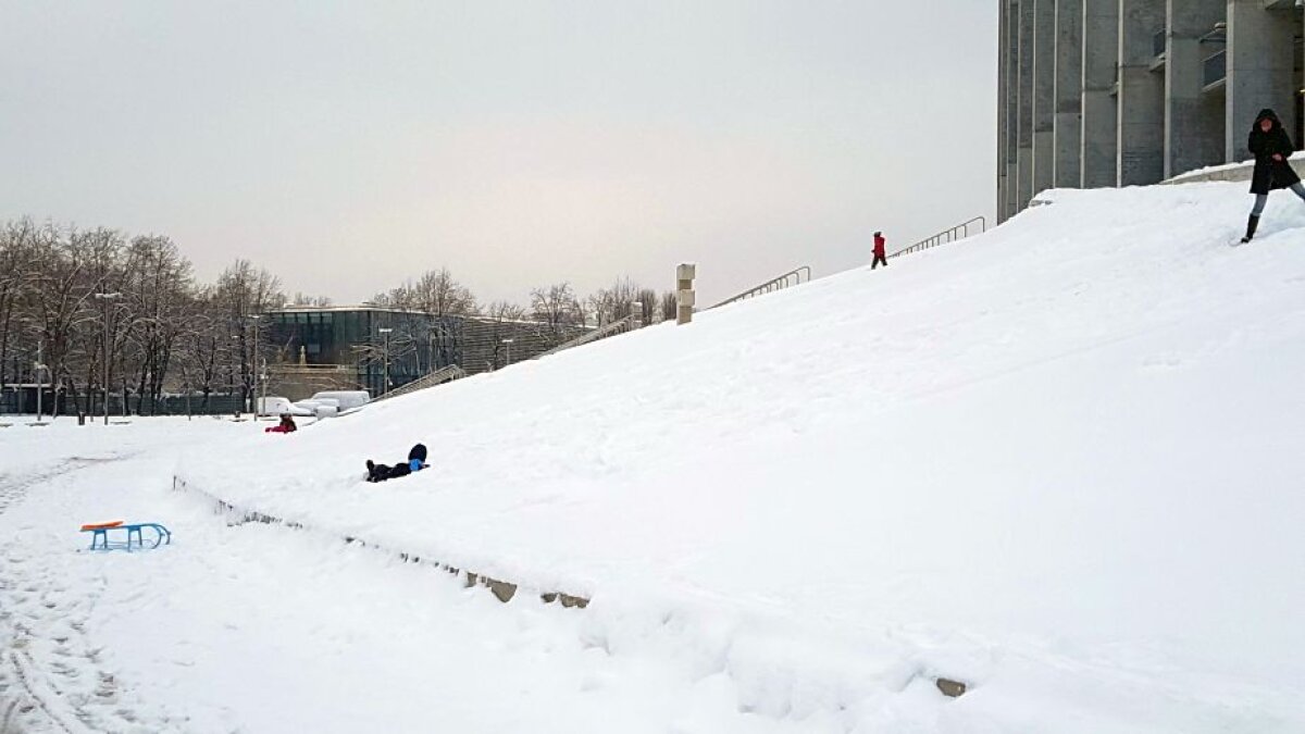 EXCLUSIV VIDEO+FOTO "Sunt copii. Cu multe sănii, De pe coastă vin ţipând" :D » Arena Națională, ca-n "Iarna pe uliță": cel mai scump stadion al țării a devenit pârtie de săniuș! Imagini antologice surprinse azi pe arenele din Capitală