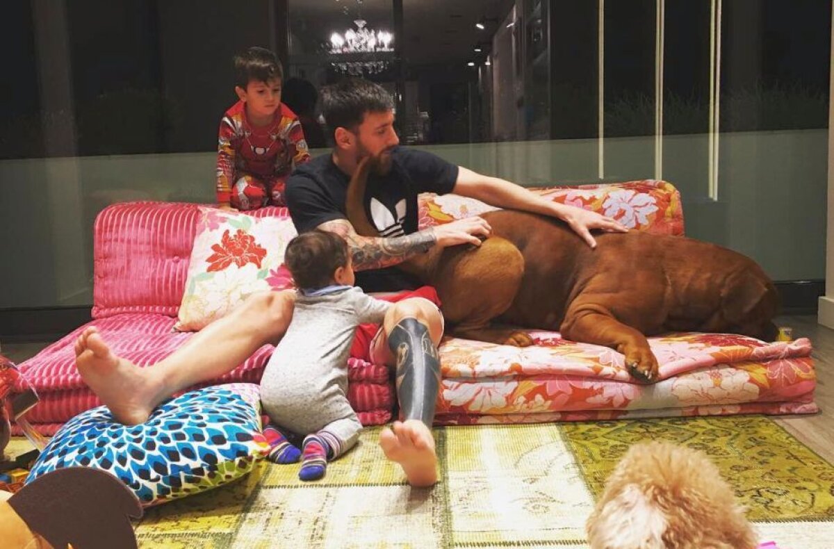 Fotografia zilei - cele mai interesante imagini ale lunii ianuarie 2017 în sport