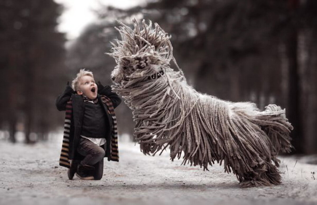 FOTO » Cele mai tari imagini cu un câine! Sunt abslout spectaculoase